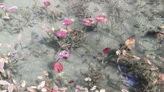 5月以降の午前中に