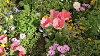 時期が悪かったですが