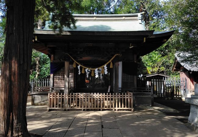 碑文谷八幡宮 クチコミ アクセス 営業時間 学芸大学 都立大学 フォートラベル