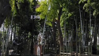 今は閑静な住宅地の碑文谷一帯は大正時代までは筍の産地だった