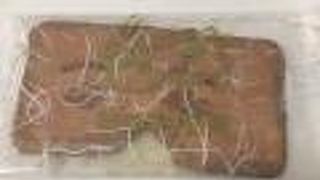 素朴な味のおせんべい