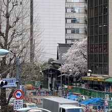 陸橋からの眺め