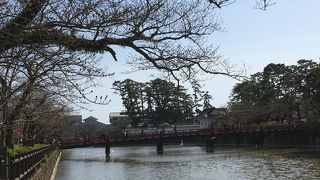 3月連休桜はまだだった