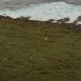 ロタ島バードサンクチュアリの風景