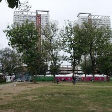 夜になると、大きな屋台村にたくさんの人が集います。