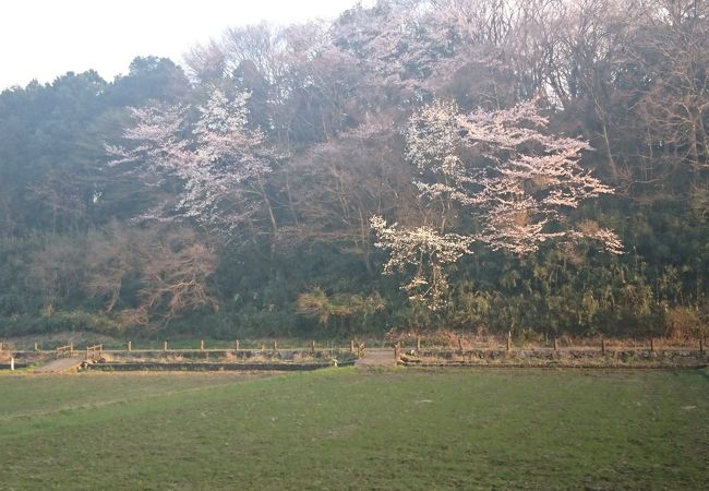 おすすめしたい里山