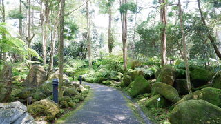 歩くのがたいへん