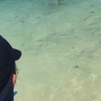 海の水がキレイで、魚の餌やりが楽しかったです。