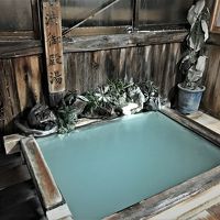 トロトロの極上の湯