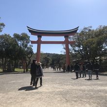 宇佐神宮の鳥居