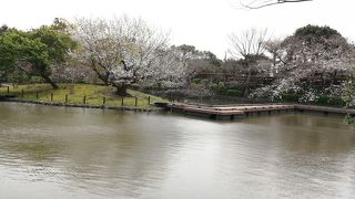 八幡宮に入ってすぐの池