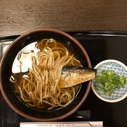 京都駅で食べるにしんそば