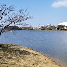 自然豊かな公園