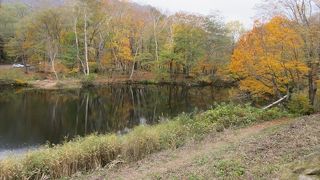 行くのは大変でしたが紅葉は素晴らしかったです