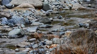 川原から直接お湯が湧き出ています