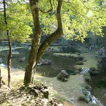 心字池を裏山登山道から見る