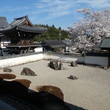 南溟庭(なんめいてい)と山門