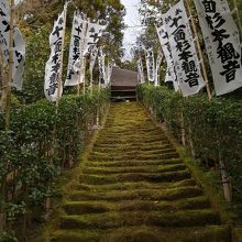 コケがびっしりの石段