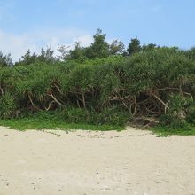 ビーチに日陰は少ない・・・