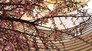 期待しすぎたのか・・・