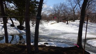 もうすぐ春です！閑散としてます！