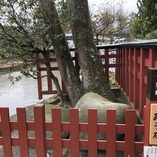 厳かに祀られている