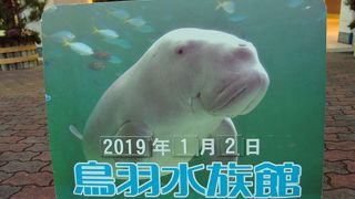 ショーを全て見るなら午前中から入館しましょう！