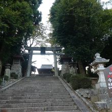 この見上げる感じが何とも言えず・・・・・