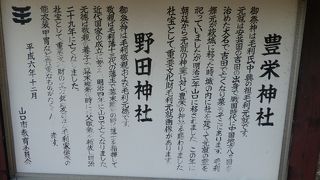 神社周りの森が凄い！