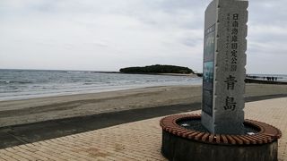 亜熱帯植物群生と鬼の洗濯板