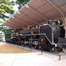 Sl機関車 こけし塔 杜の都れんが下水洞窟など By Bobby Brazil 西公園のクチコミ フォートラベル