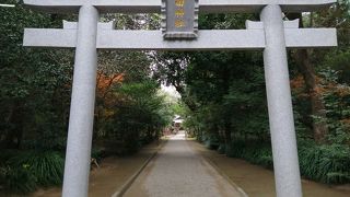 一見地味ですが