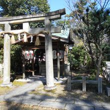京都観光神社