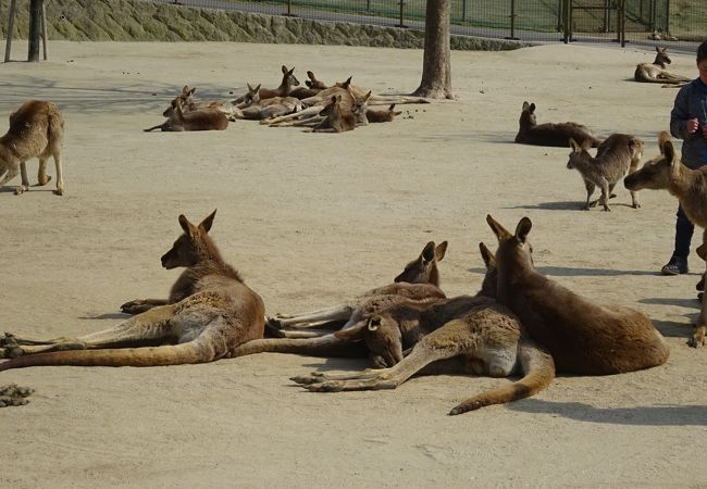 ひびき動物ワールド