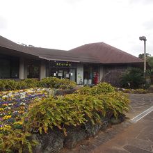 八丈ビジターセンター