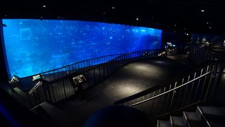 東南アジアを代表する水族館