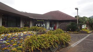 八丈島のことはここで