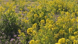 とにかく広い！！