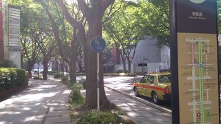 街路樹が整備されている幅の広い大通り