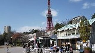東京タワーのビューポイント芝公園は都心のオアシス