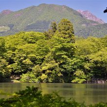 白雲の池