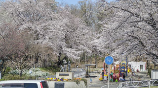 北本市子供公園