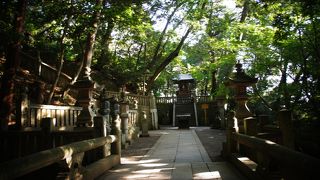 伊勢神宮を拝む