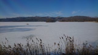 冬眠中かと思いきや…