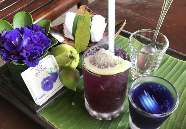 アジアントロピカルな雰囲気が素敵！