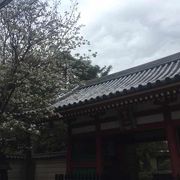 高円寺の綺麗なお寺