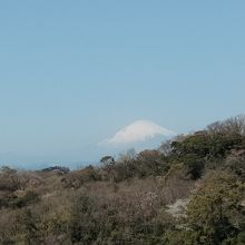 半蔵坊から富士山を眺める