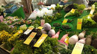 新鮮で珍しい鎌倉野菜が購入できる