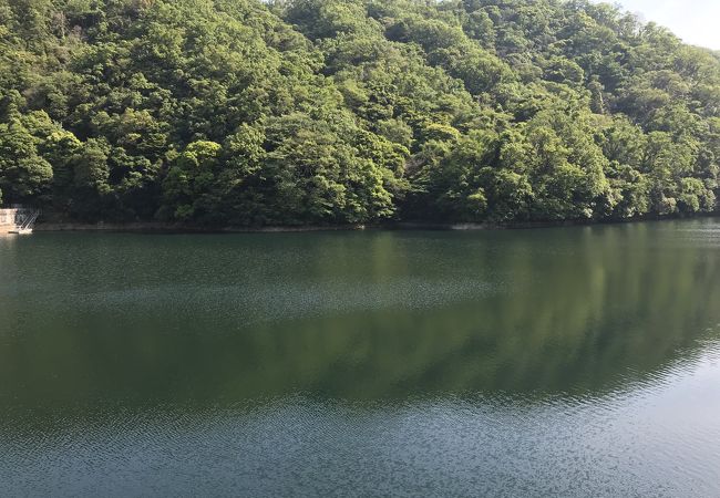 布引貯水池 クチコミ アクセス 営業時間 神戸 フォートラベル
