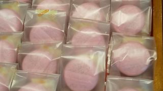 東照 シァル鶴見店